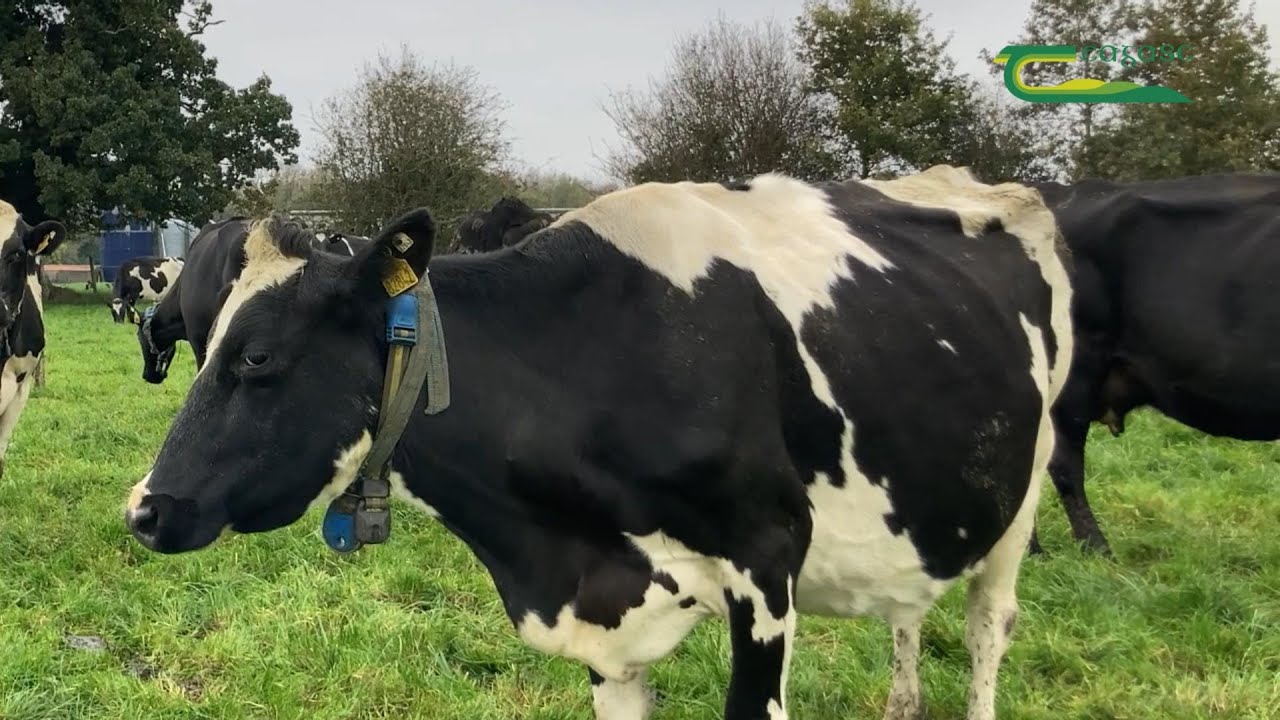 Local Dairy farmer Andrew McHugh explains the benefits of AgNav