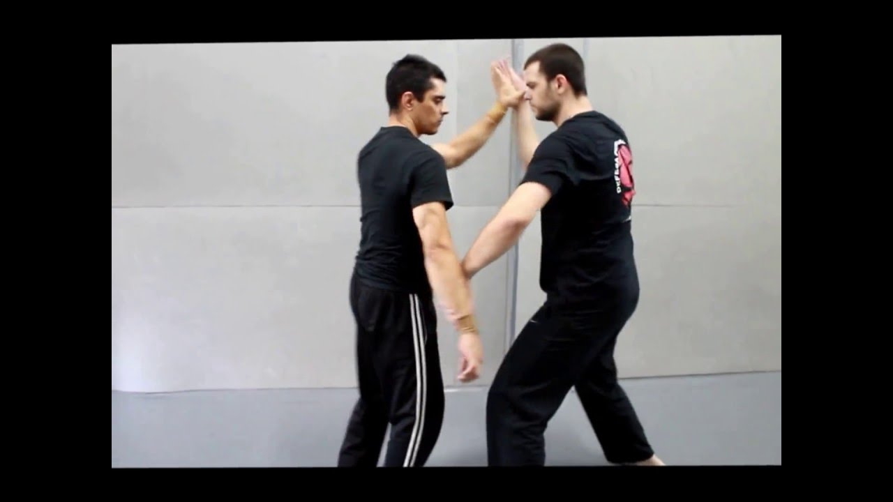 Guided Chaos Combatives - Prof. Imoto