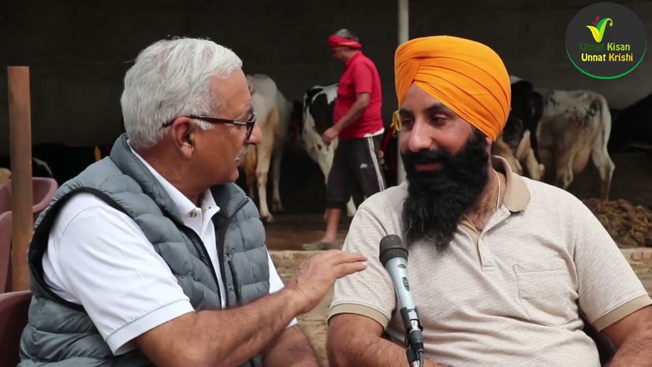 शाही डेयरी की 10 गाए ।दुध 40 लीटर 88 हज़ार के हिसाब में | Shahi Dairy Farm | Fatehgarh Sahib |