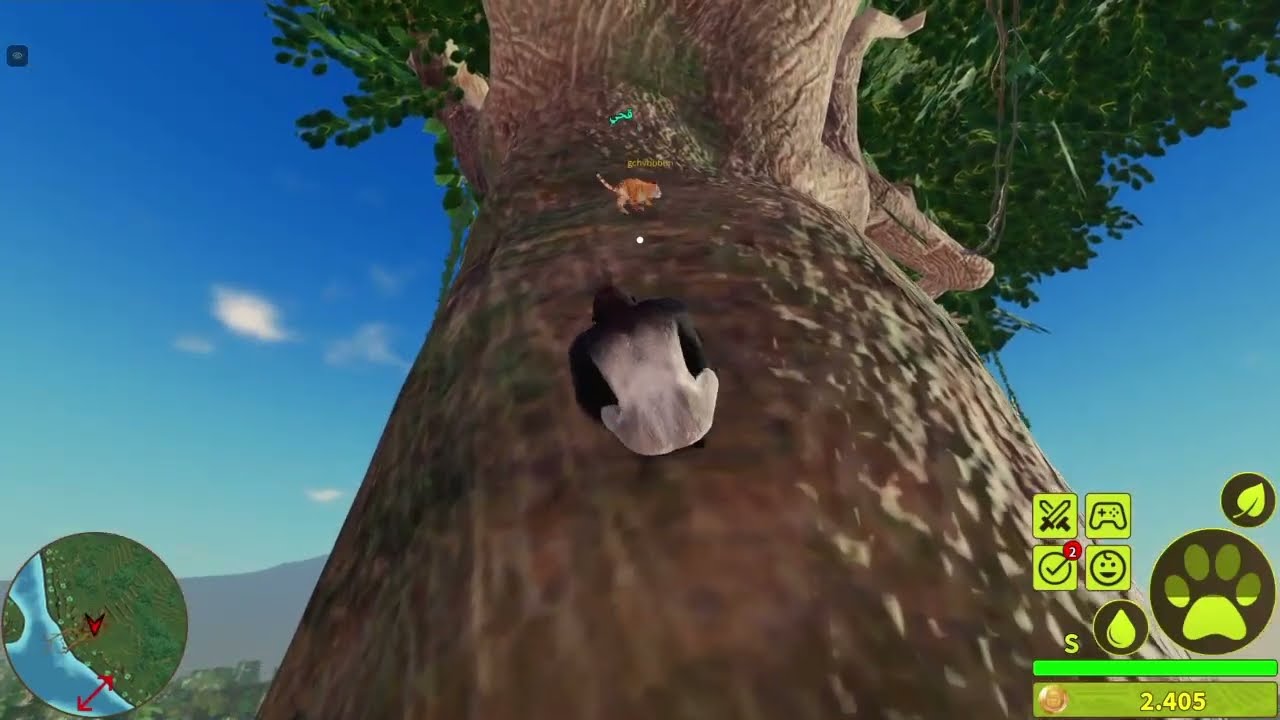 {New} Gorrilla  Game play | Jungle life Roblox 🌴🦍