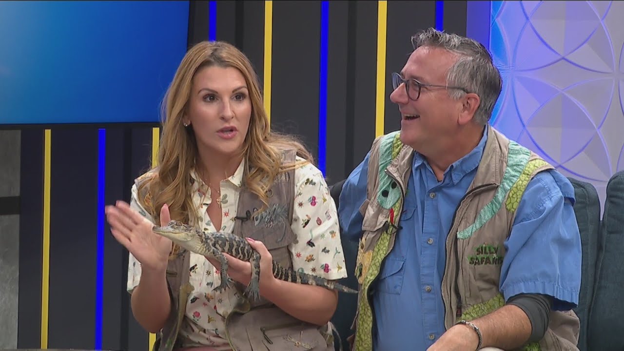 Silly Safaris: Meet a Tiny Alligator named Louis Vuitton - 2/4/26