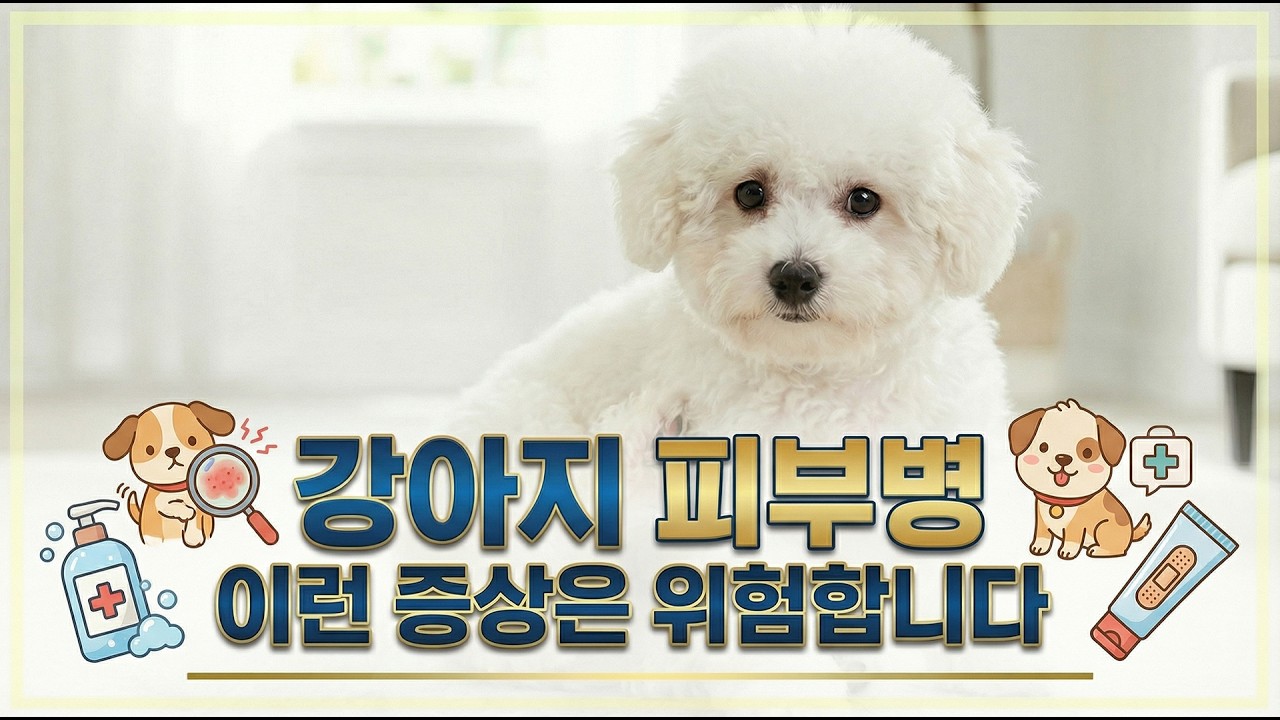 강아지 털이 자꾸 빠진다면? 반드시 체크해야 할 4가지