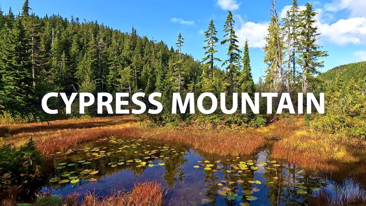 Cypress Mountain 4K Virtual Hike to Bowen Lookout