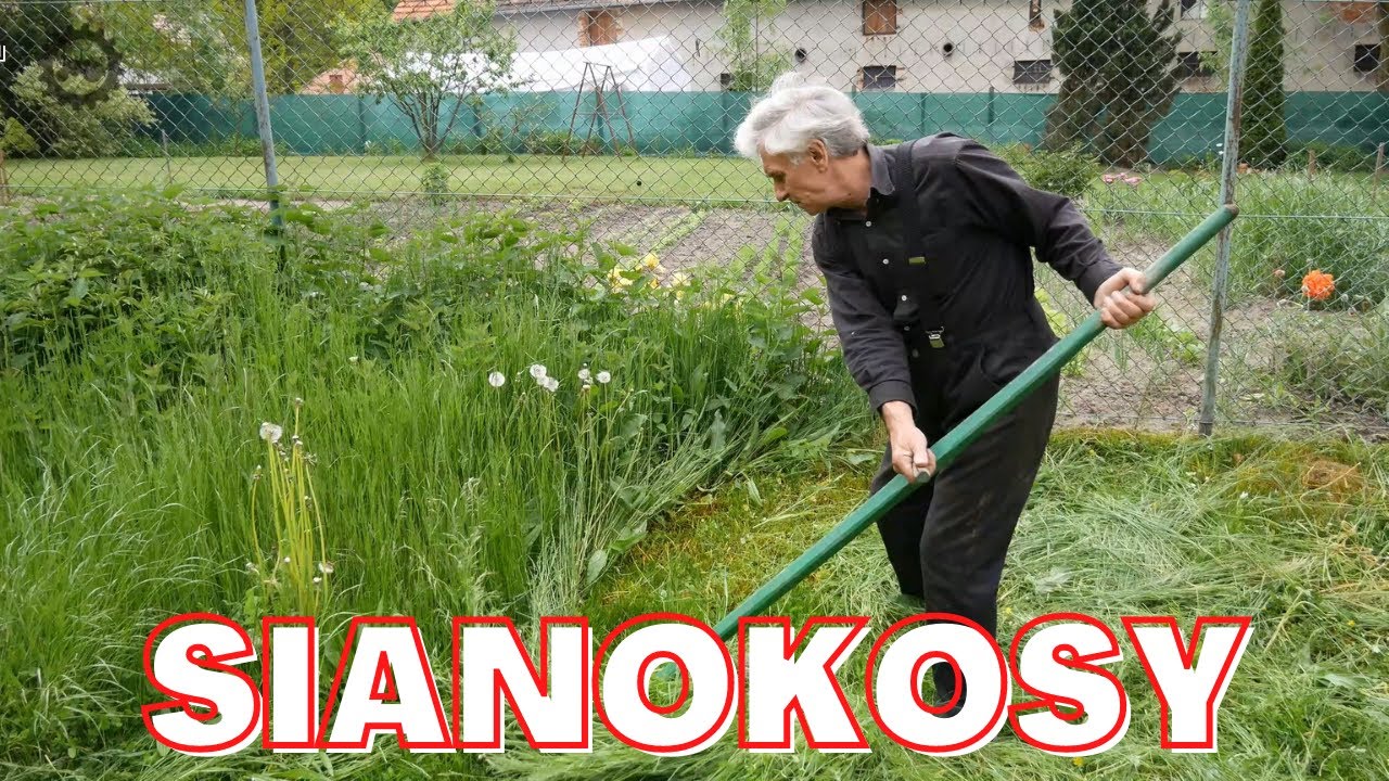 Franciszek i ulubiona KOSA | SIANOKOSY 2021 | Z pamiętnika kierowcy mechanika 137
