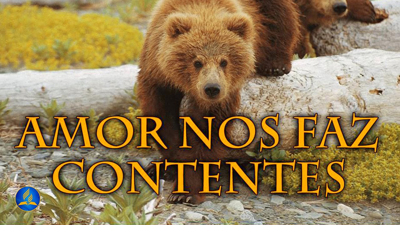 Hin&aacute;rio Adventista 238 - AMOR NOS FAZ CONTENTES