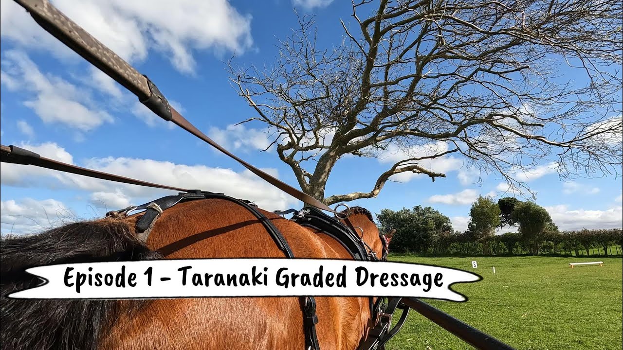 S3 E1 - Taranaki Graded Dressage