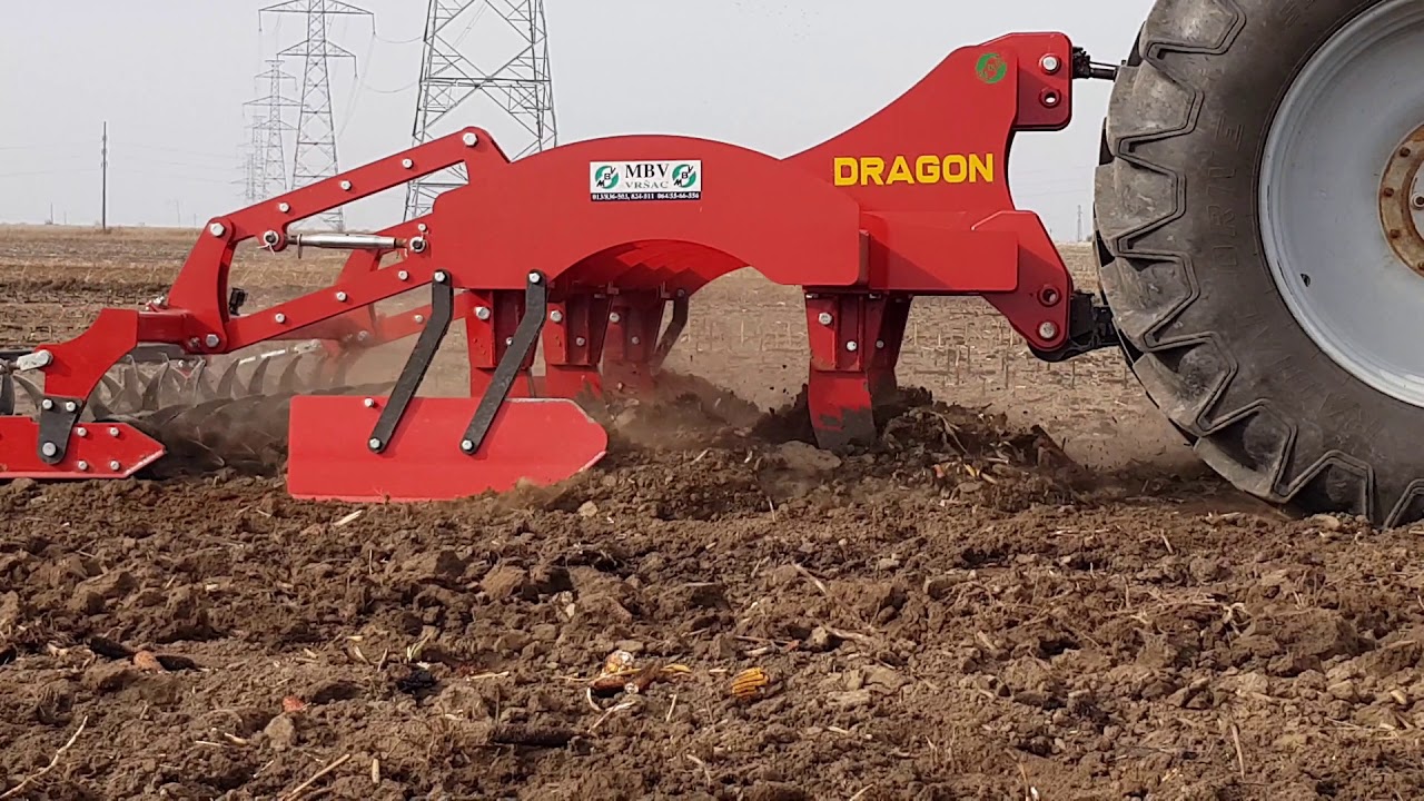 Dragon 5 (2,5m)