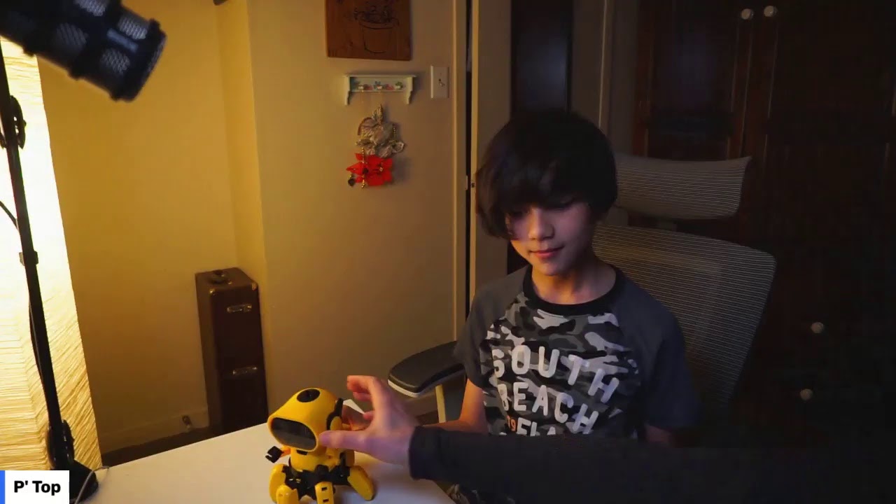 STEM - Building Tobbie the Robot