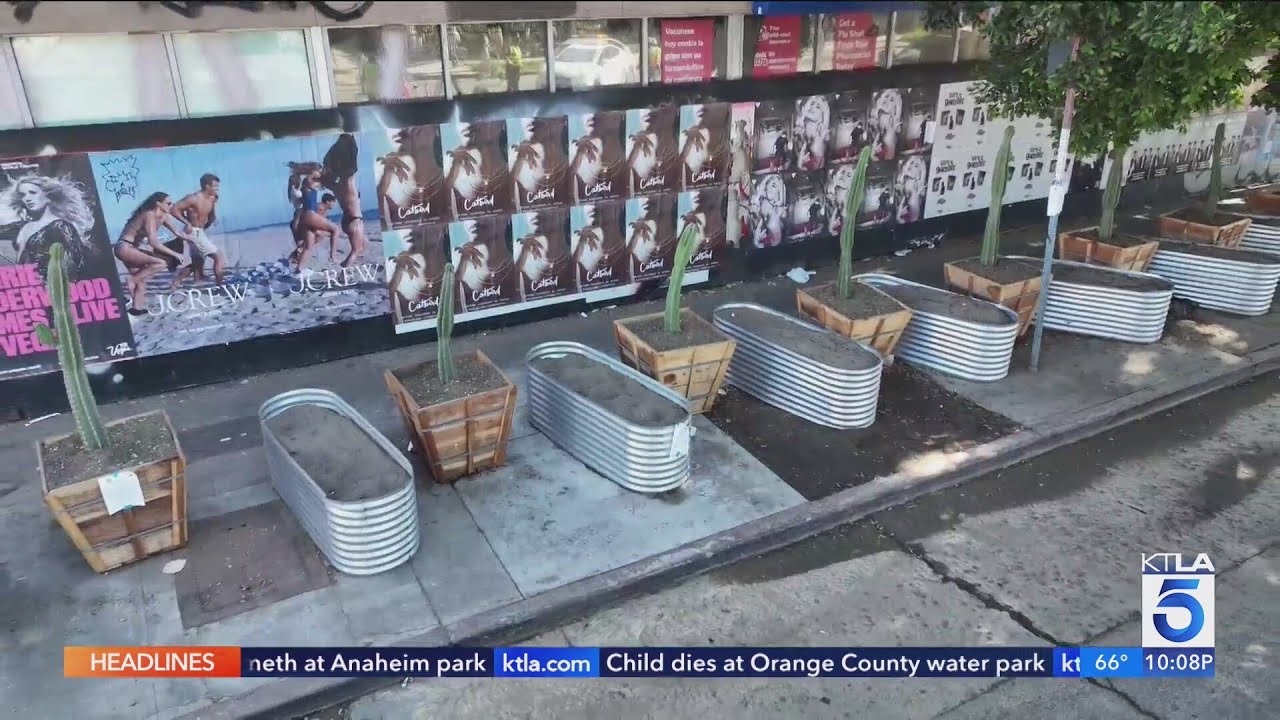 Planters to deter homeless encampments in Hollywood forced to be removed