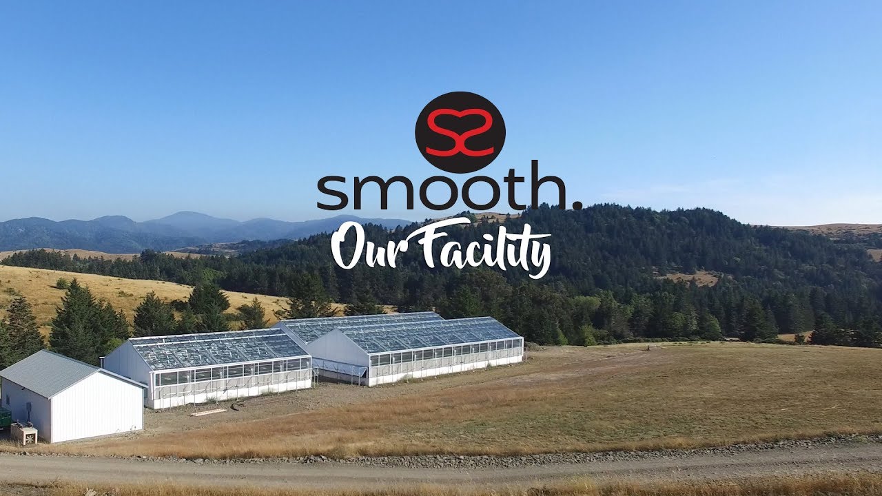 Welcome To Smooth Cannabis