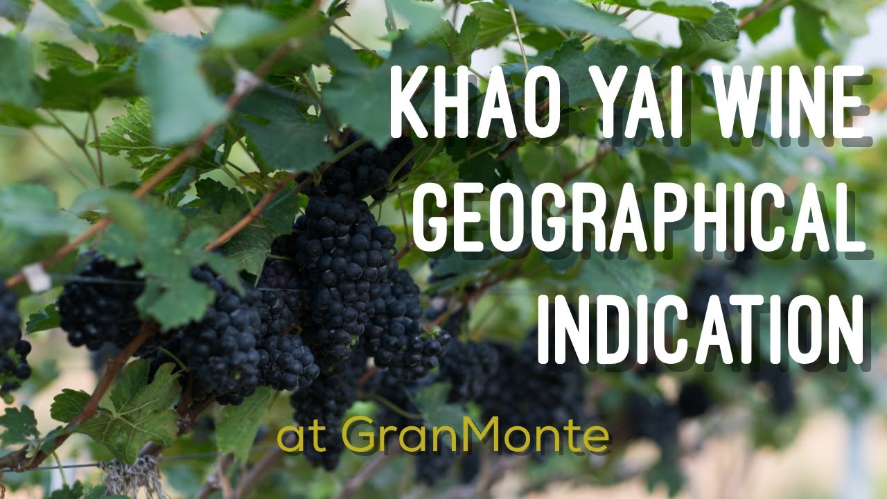 GranMonte & Khao Yai Wine GI  INNOLIFE