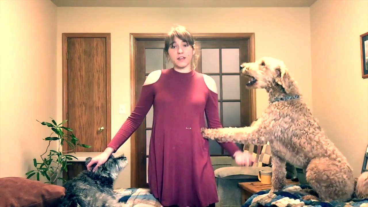 Minutes | Original Song with Dogs