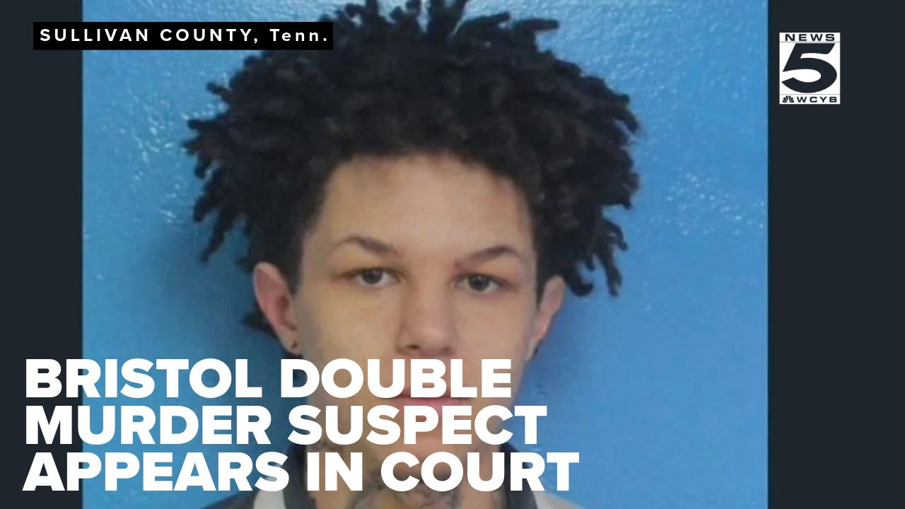 Bristol double murder suspect Elijah Campbell appears in court