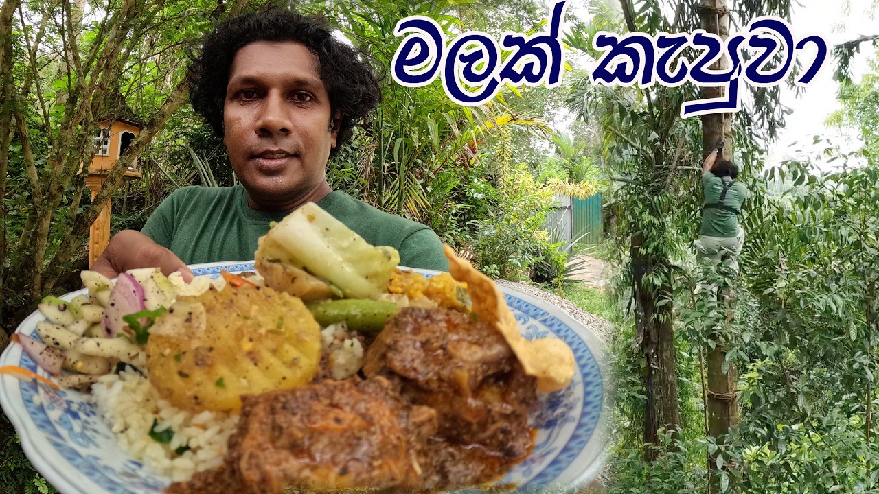 Bulathsinhala Area | Sri Lankan Kithu Ra කිතුල් රා ජයන්ත අයියගේ පොට් එකේන් බත් කෑවා රසට Street Food