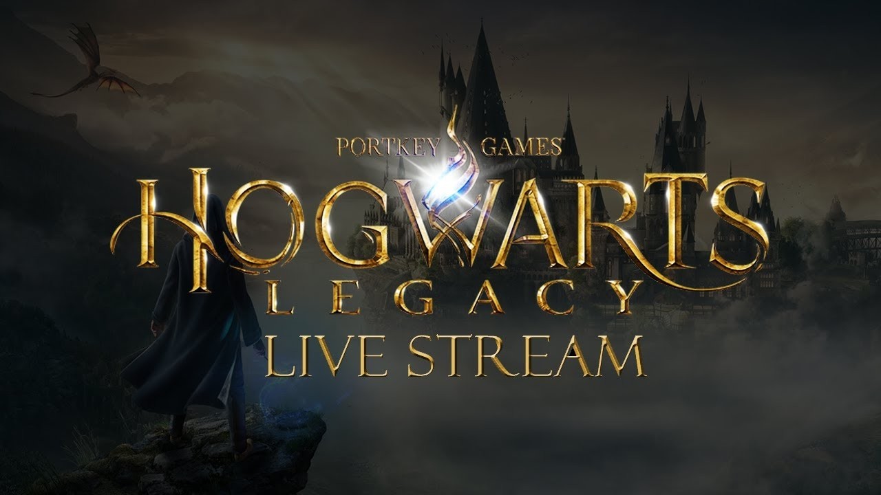 Hogwarts Legacy 2nd Day