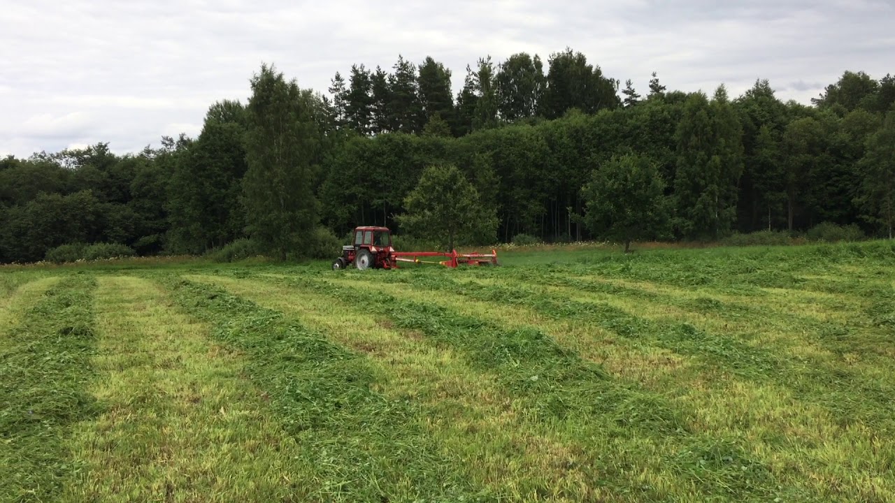 Mowing with Belarus 825 Agross