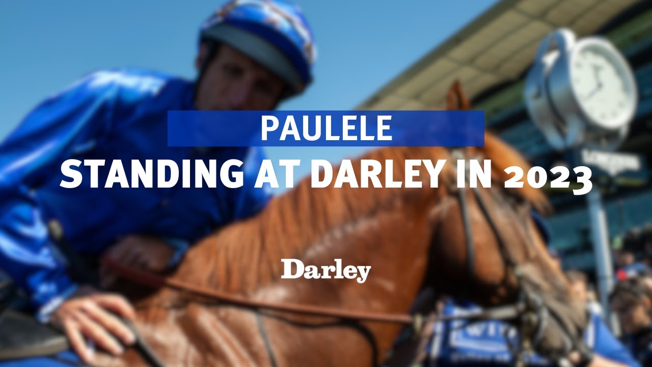 Paulele | Standing at Darley in 2023