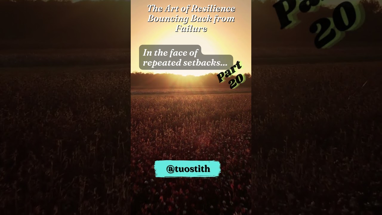 The Art of Resilience Bouncing Back from Failure Part 20 (end) 