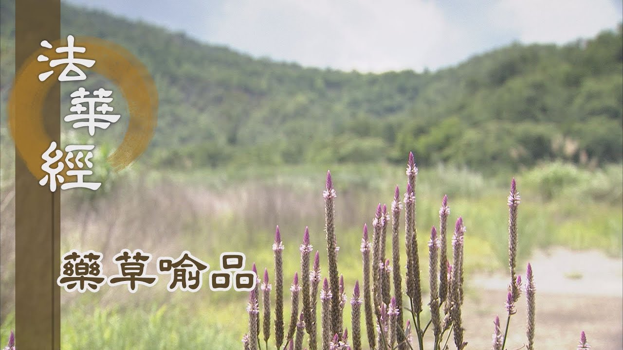 【靜思妙蓮華】法華經藥草喻品 - 如來十號 - 20210702 第882集