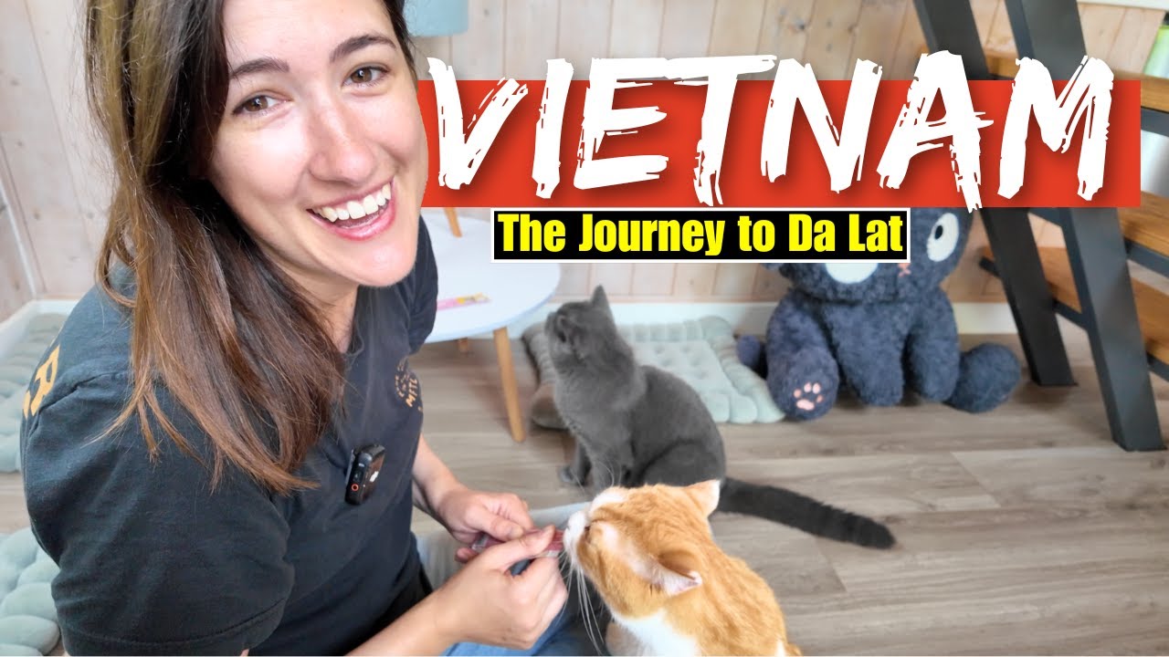 We FINALLY arrive in Da Lat 2025 🇻🇳 SOUTH to NORTH EP. 2 of 16