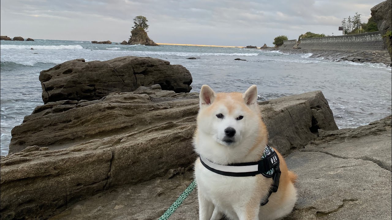 柴犬岳　富山県高岡市　雨晴海岸へ
