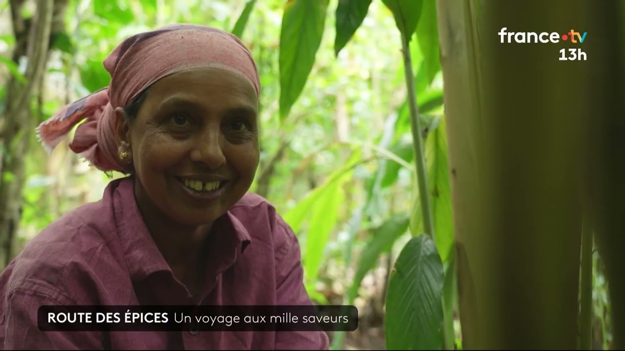 Inde : la route des épices