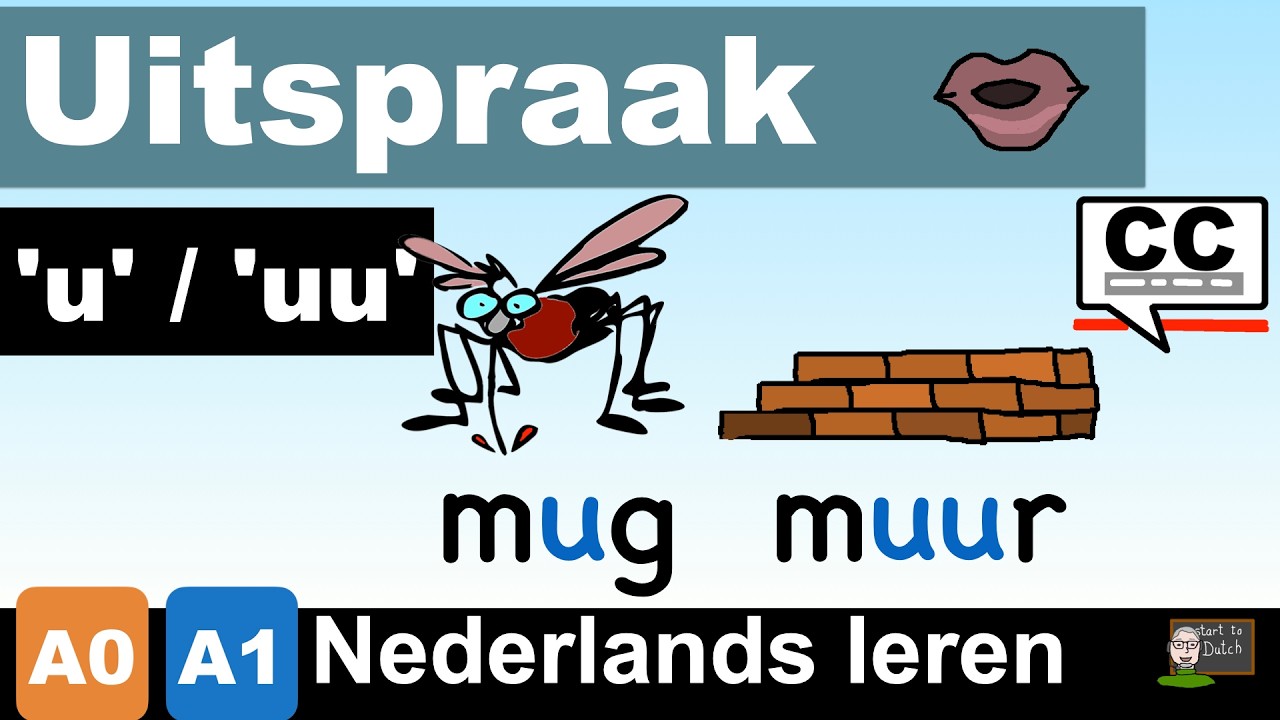 NT2 A1 2.08 Uitspraak u / uu 🗣️ Les Nederlands leren 1.1 klinkers vocalen #learndutch vowels