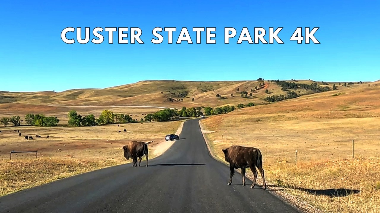 Custer State Park 4K Scenic Drive | Wildlife Loop Road Driving Tour