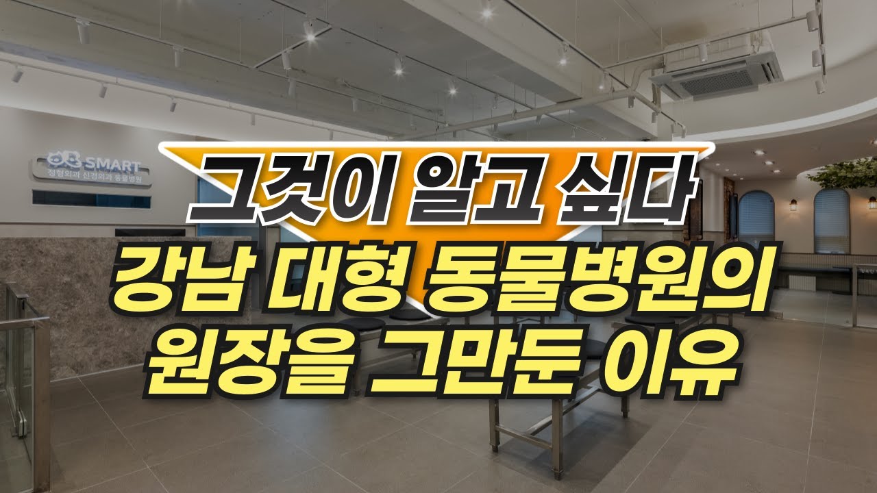 강남 대형 동물병원을 그만두고 정형/신경 외과 전문 동물병원을 개원한 이유?! (직업의 본질, 선택과 집중에 대하여)