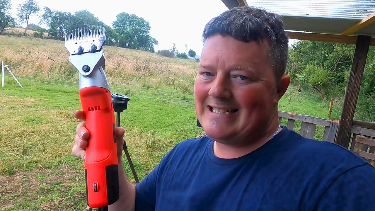 MY FIRST TIME SHEARING SHEEP - IT'S HARD WORK