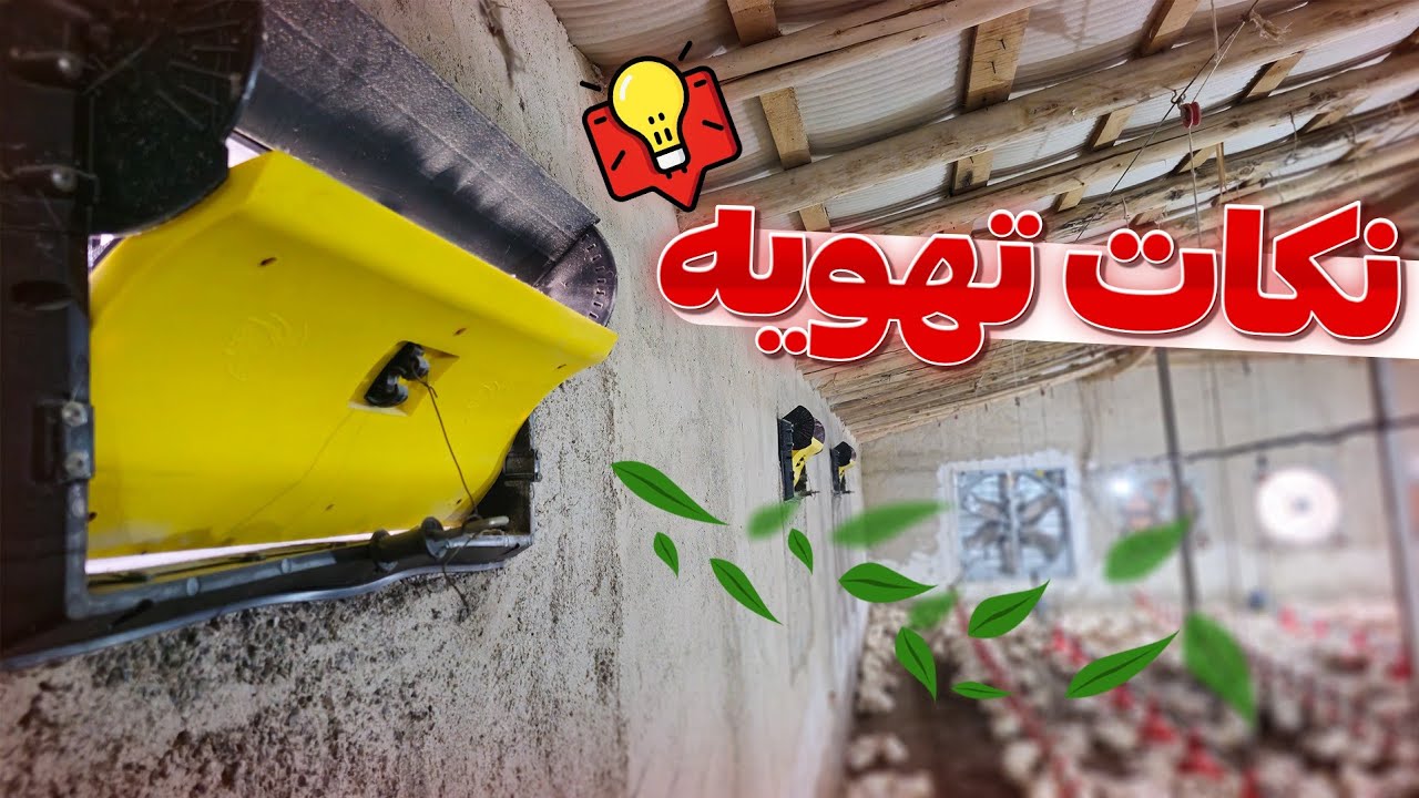 نکات کاربردی تهویه در بازدید از فارم ۲۲ روزه | مهر۱۴۰۴