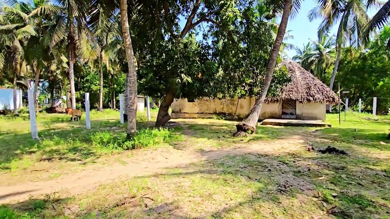 Amazing 53(23+28)Cent Surveyed Farmland🌴ECR Kadappakkam|🌊 Beach Side|West Facing  Ct:9994219228