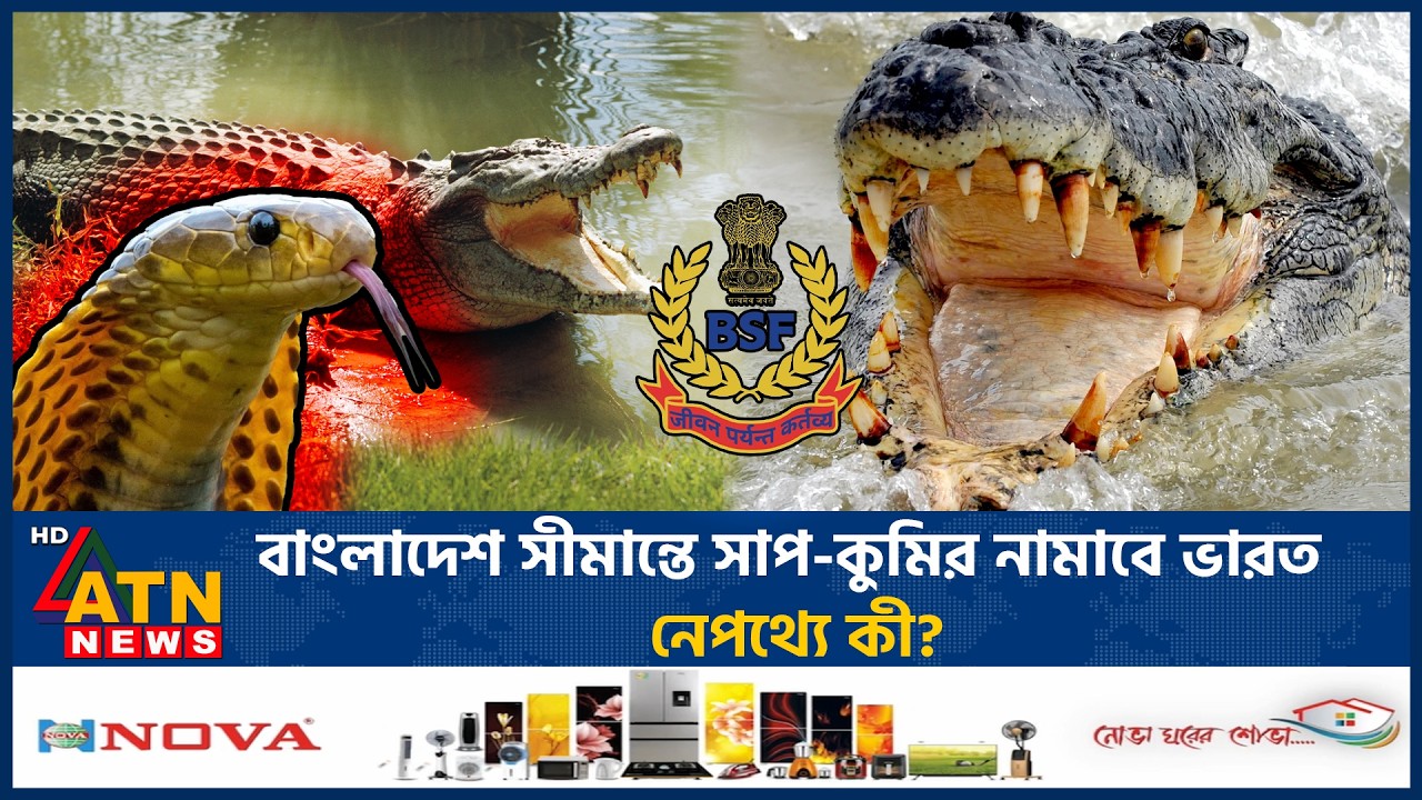 হঠাৎ যে কারণে বাংলাদেশ সীমান্তে সাপ-কুমির নামাবে ভারত | Bangladesh Border | Snake | crocodile | BSF