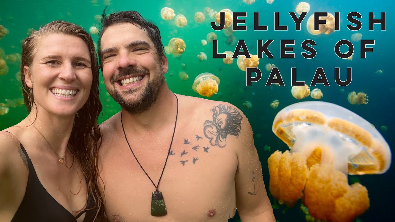 Diving into a DEADLY Jellyfish Lake in PALAU 😳 [Part 2]