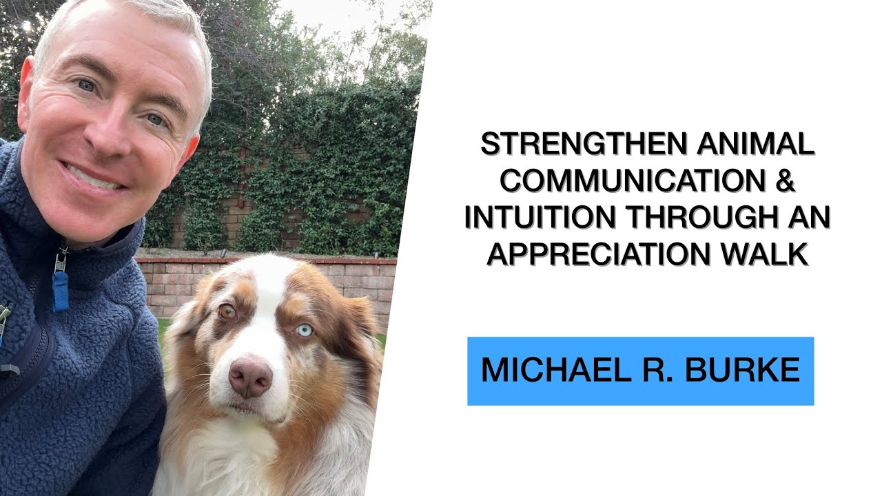 An Animal Communicator’s Practice: The Appreciation Walk for Intuition and Connection