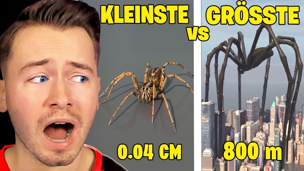 САМЫЙ МАЛЕНЬКИЙ паук против САМОГО БОЛЬШОГО паука в МИРЕ!🕷️🌎