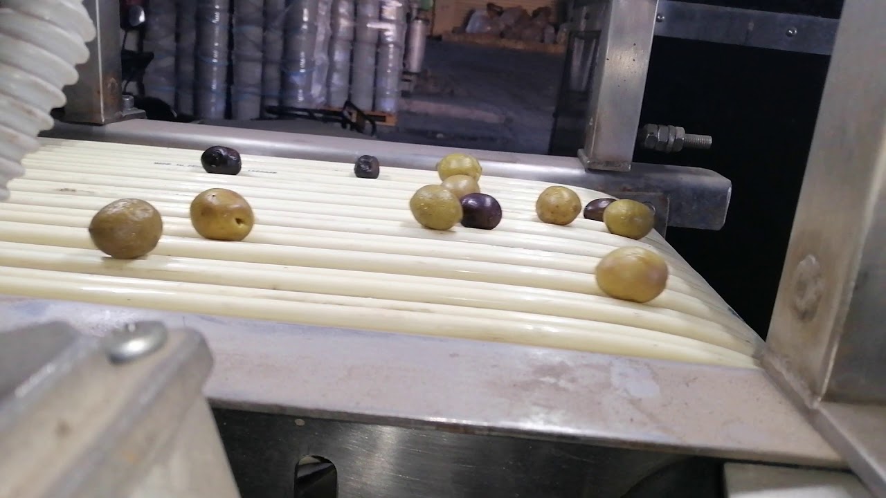 Olive Color Sorting Machine-SORTEX