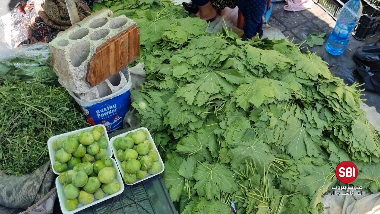 من البقاع الى صيدا.. رحلة مرهقة لبائعة ورق العنب