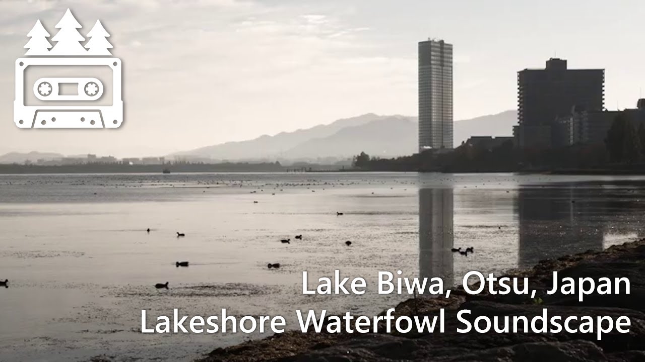 Lake Biwa | Morning Lakeshore Soundscape in Otsu, Japan