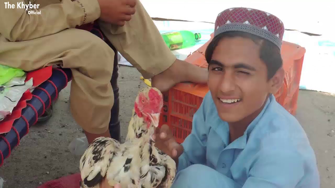Village Life Local Bazaar | khyber Pakhtunkhwa Daily Life 2020 | Pakistani Pakhtoons