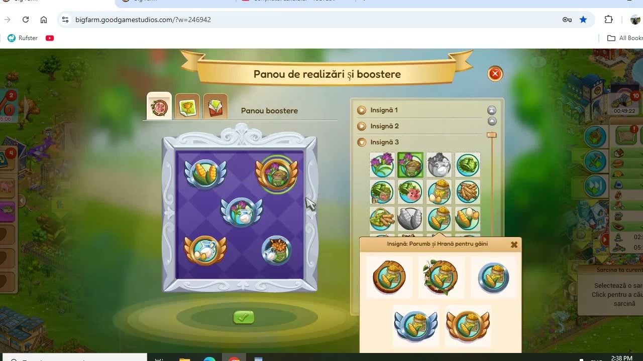 insignele-big farm