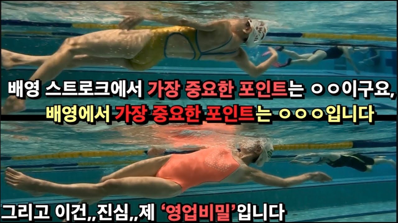보는눈이 달라지는 배영 설명 (피드백포함)