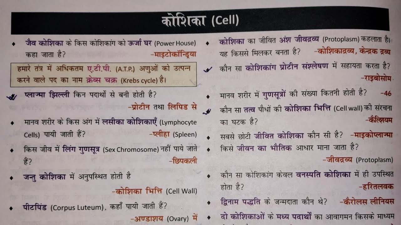 कोशिका विज्ञान | Cell | Cell oneliner science| #ncert #cell #biology ‎⁨Oneliner gs @RatansirPatna 