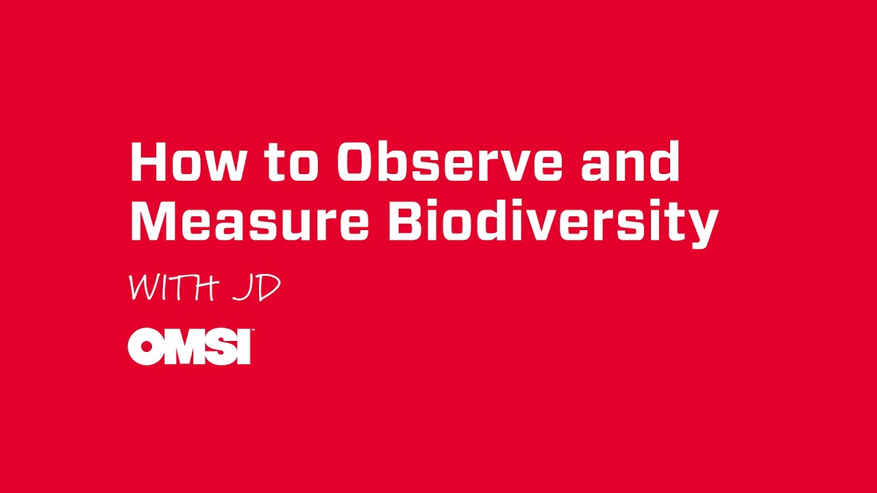 How to Observe and Measure Biodiversity
