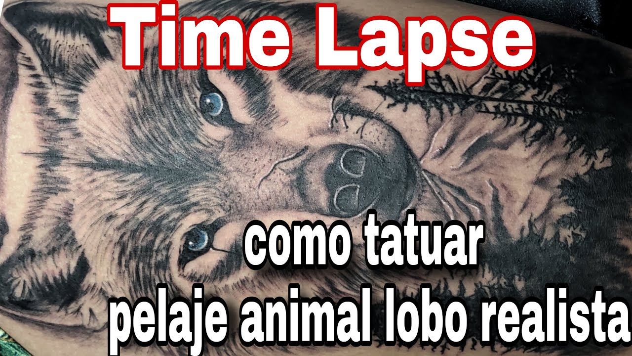 Como tatuar pelaje animal - tatuaje de lobo - time lapse