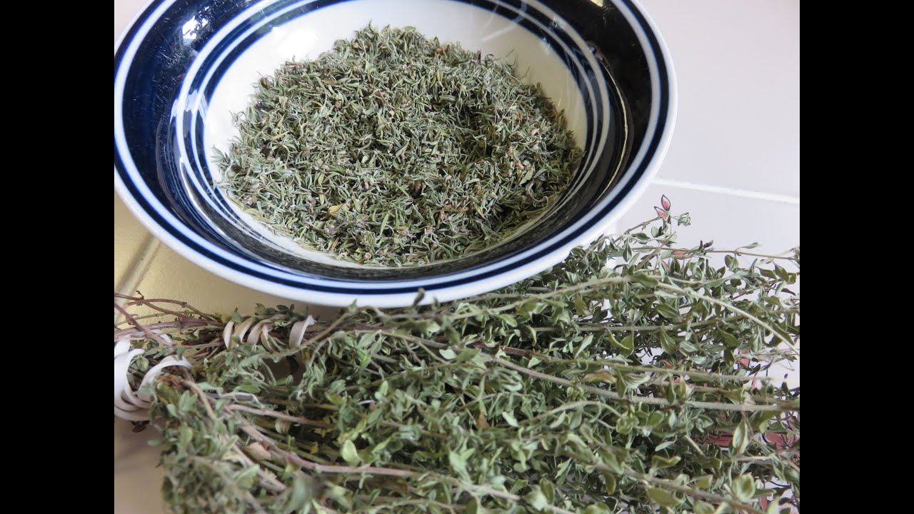 How to Harvest Dried Thyme for Cooking