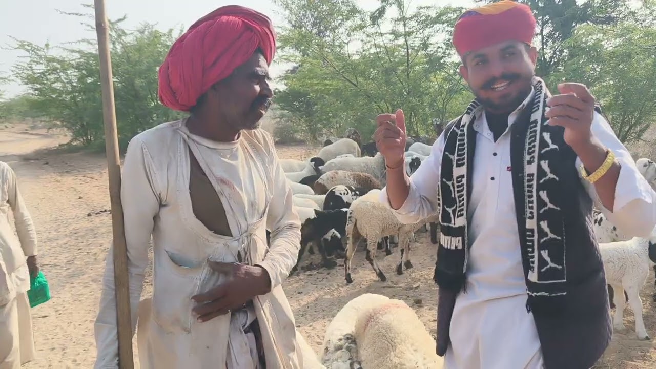 म्हारी बात, म्हारो राजस्थान”“माटी री महक”“राजी-खुशी रो राजस्थान”“धोरां री धड़कन”