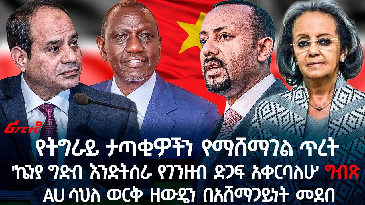 የትግራይ ታጣቂዎችን የማሸማገል ጥረት  @ethiopian_reporter