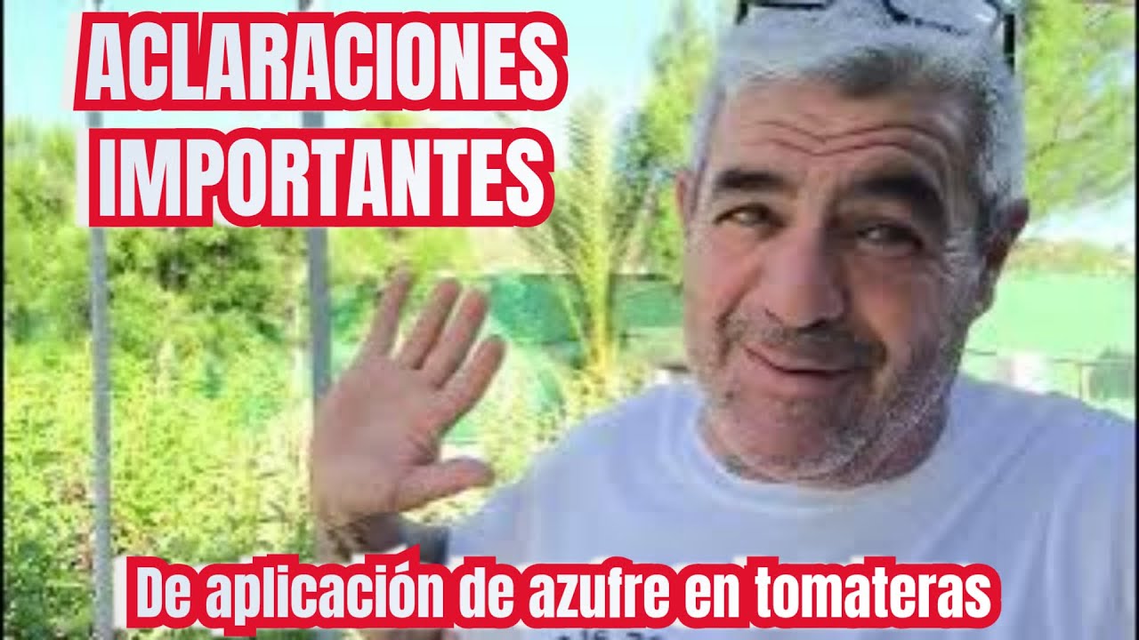 Aclaraciones importantes sobre la aplicación de azufre en las tomateras