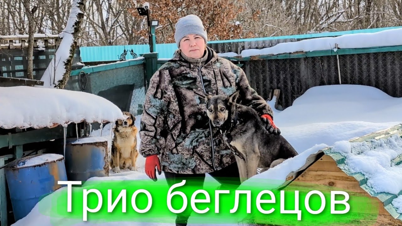 Трио беглецов 